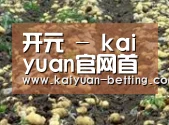 种植基地七