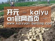 种植基地八