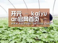 种植基地三