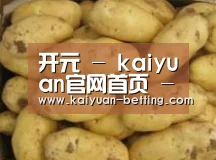 产品展示标题6