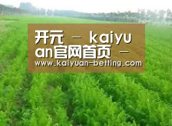 种植基地四