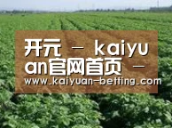 种植基地五(图1)
