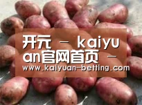 产品展示标题5(图1)