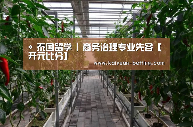 开元网站