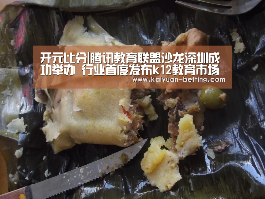 开元比分|腾讯教育联盟沙龙深圳成功举办 行业首度发布k12教育市场报告(图2) 开元比分